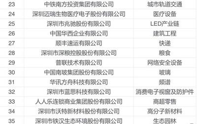 &ldquo;深圳行业领袖企业100强&rdquo;榜单发布
