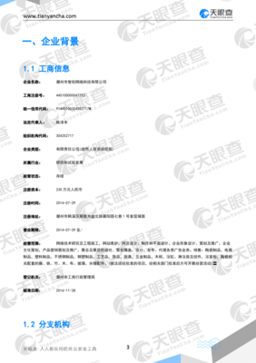 潮州市智创网络科技(企业信用报告)- 天眼查