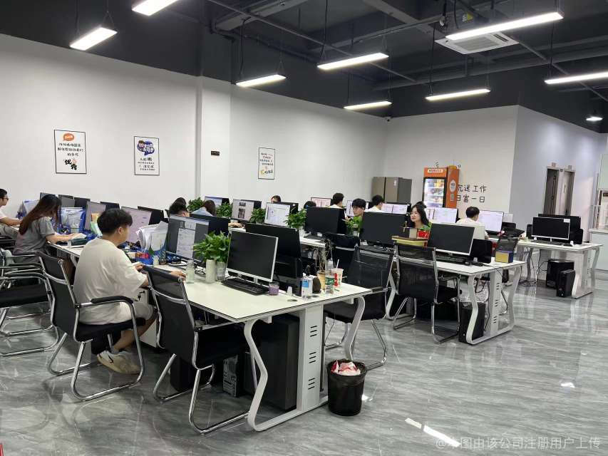 深圳巨蚁网络科技